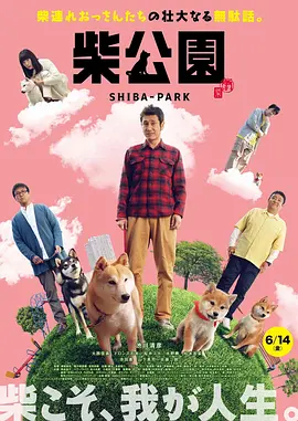 冰恋网